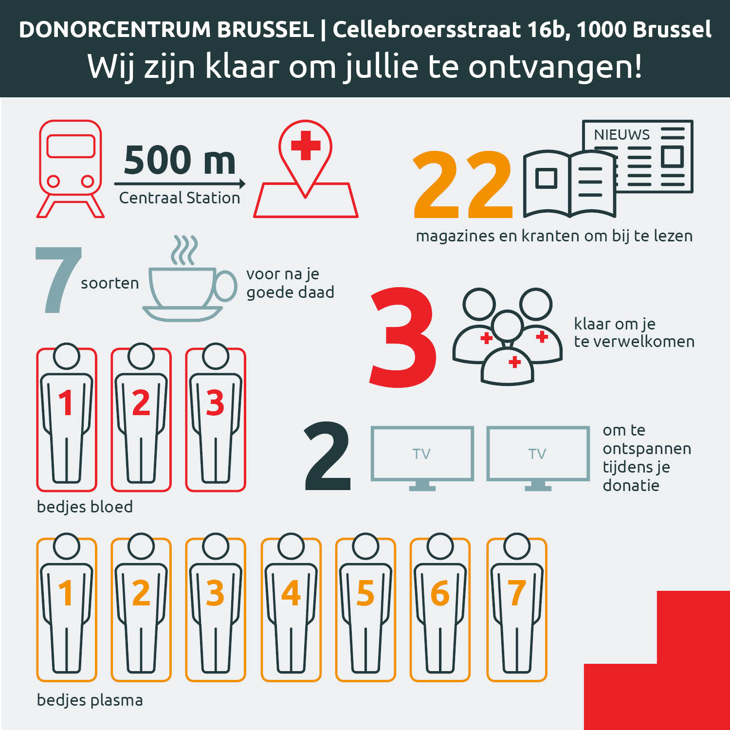 Infographic DC Brussels